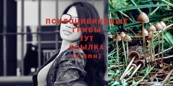 бошки Саяногорск