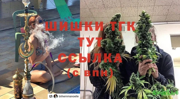 бошки Саяногорск